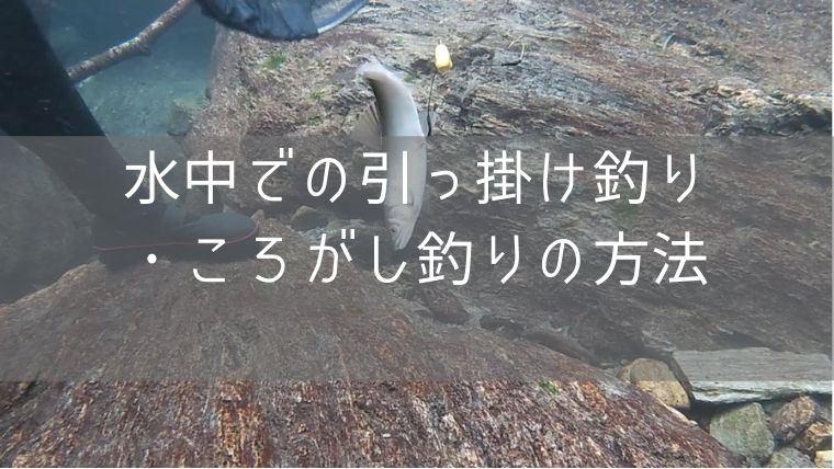 鮎の釣り方 水中での引っ掛け釣り ころがし釣りの方法 四国の釣り人