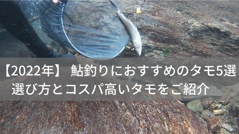 22年 鮎釣りにおすすめのタモ5選 選び方とコスパの高いタモをご紹介 四国の釣り人